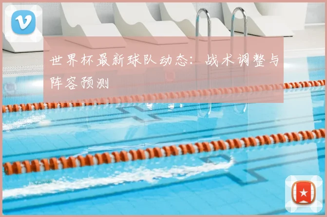 世界杯最新球队动态：战术调整与阵容预测